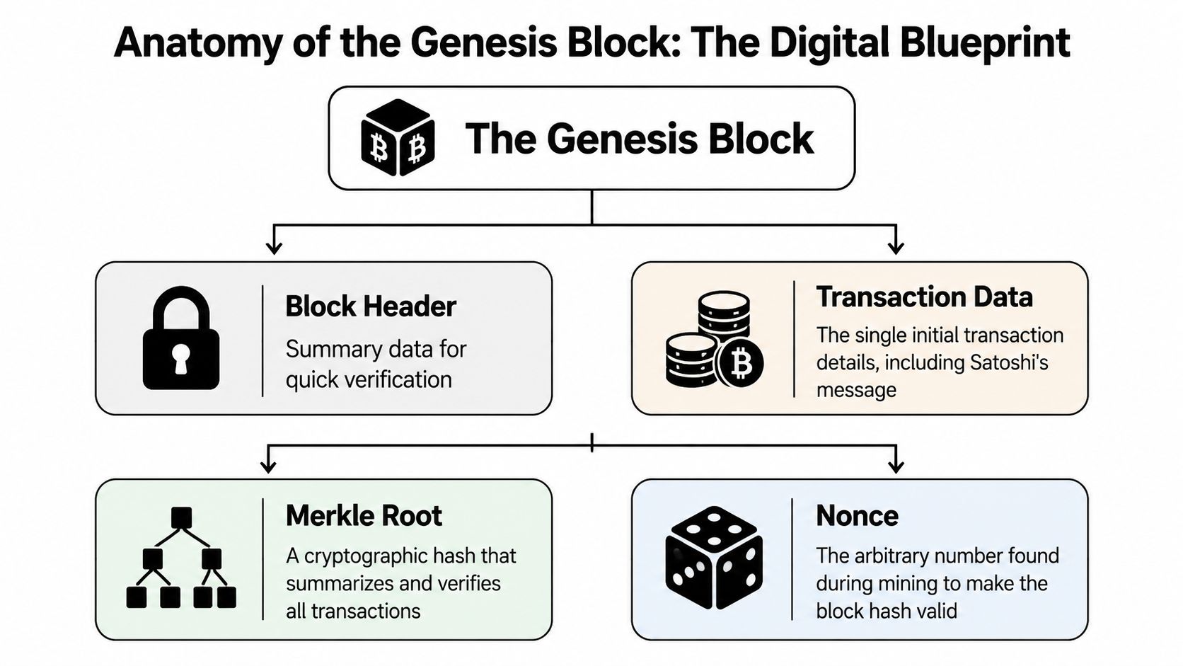A diagram illustrating the anatomy of the Bitcoin Genesis Block, detailing the block header, transaction data, Merkle root, and nonce.