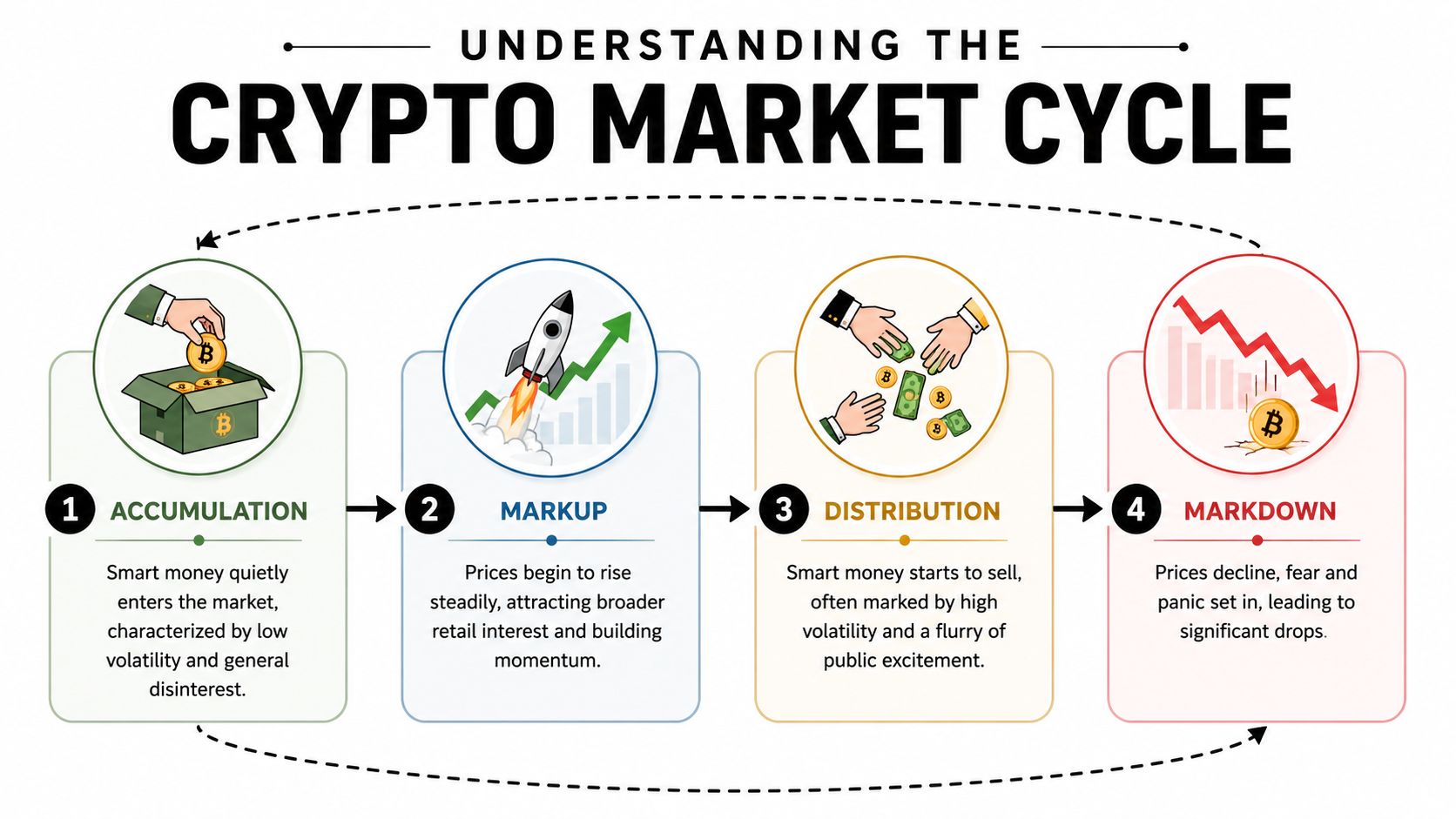A diagram illustrating the four phases of the crypto market cycle: accumulation, markup, distribution, and markdown.