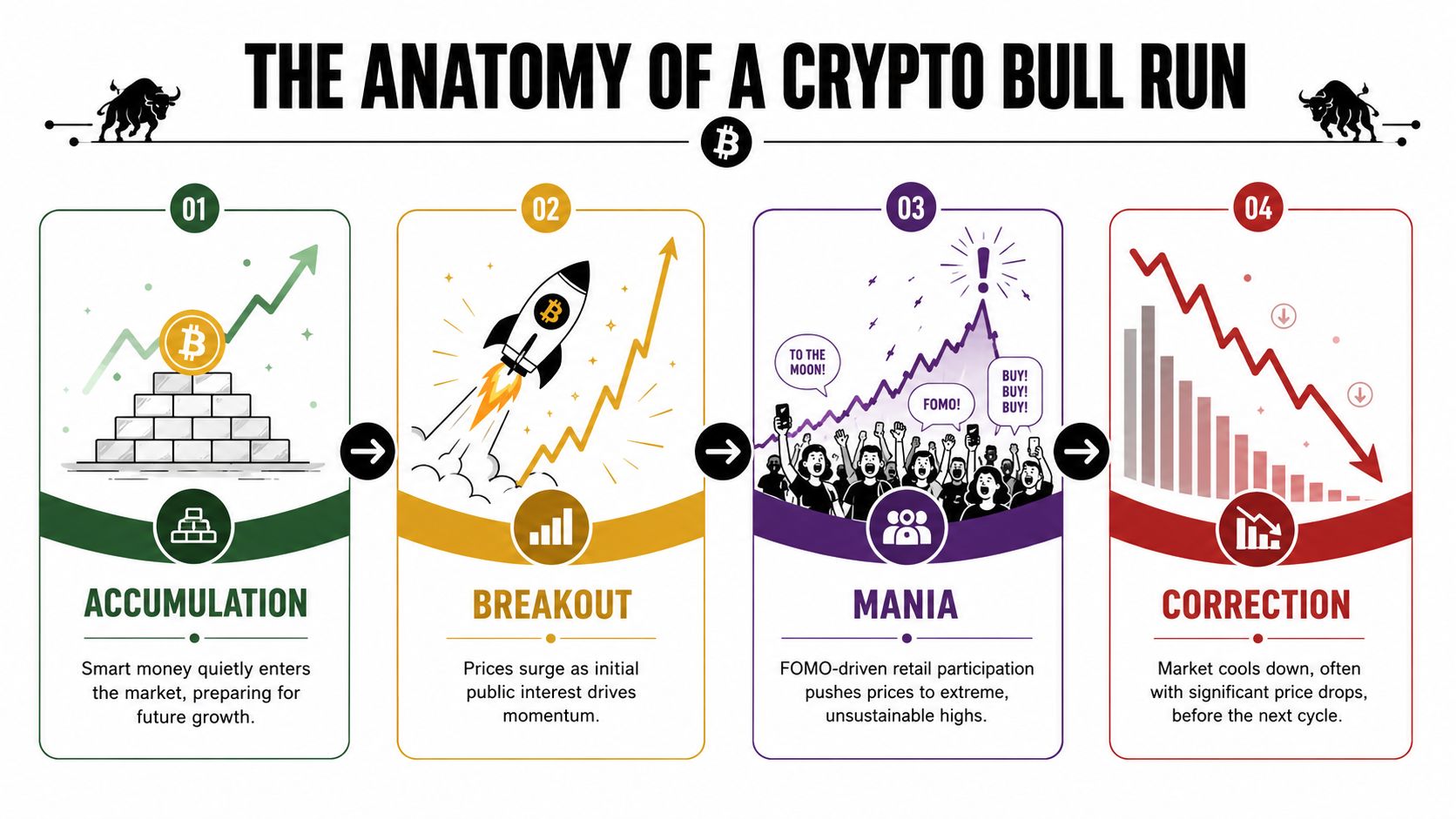 A visual infographic explaining the four stages of a crypto bull run: accumulation, breakout, mania, and correction.